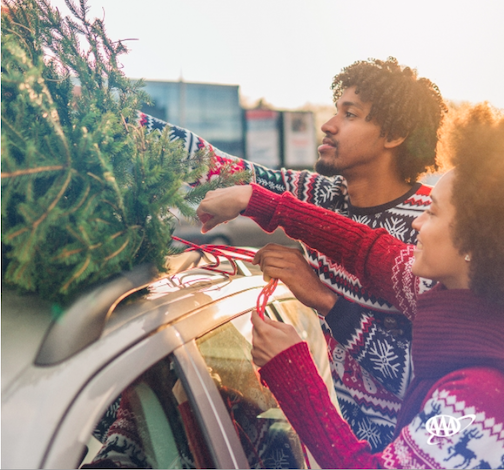 Losing a real Christmas tree on the drive home is more common than you think! AAA's latest survey found 16% of Americans who plan to buy a real Christmas tree this year have had one fall off or out of their car in the past. Get your tree home safely by making sure its secure. (AAA photo)
