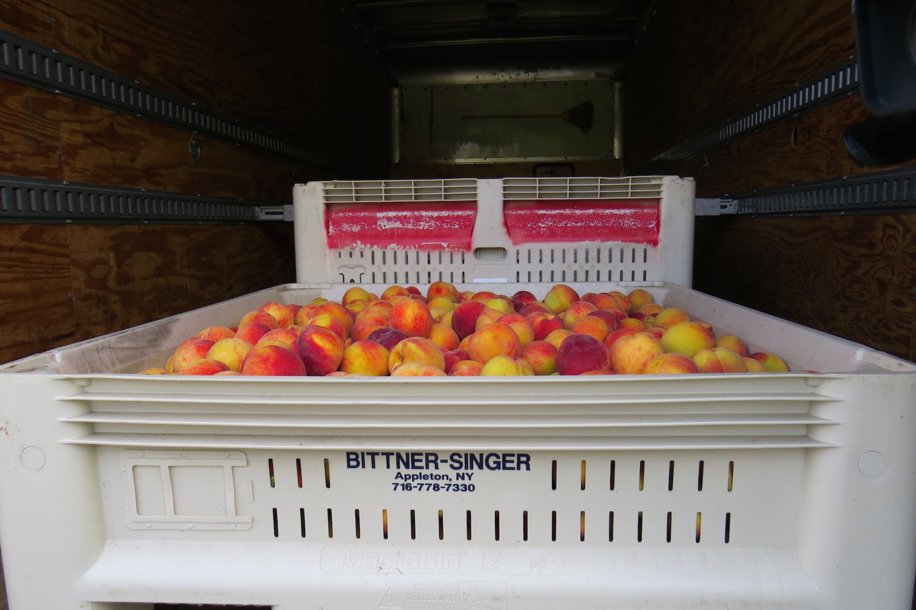 Peaches from Bittner Singer Farms.