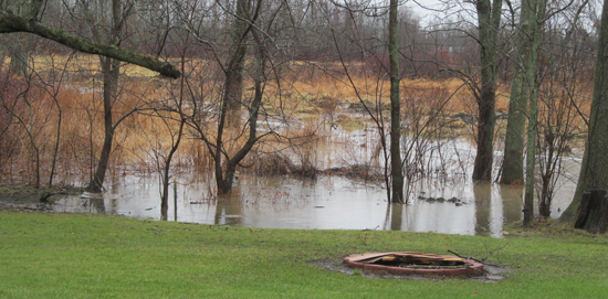 One argument residents have is that flooding isn't the result of 100- or 500-year storms, but regular rainfall. Pictured is a natural retention pond behind the DiBartolomeo household on Lemke Drive, taken Jan. 3, after the previous day's rainfall. (photo by Debbie DiBartolomeo)