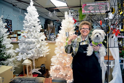 Suzanne Todaro, owner of Gleam and Glimmer Stained Glass Studio, holds a handmade stained glass snowflake, as well as her pet dog, Desi.