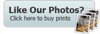 Buy Prints Of Our Photos