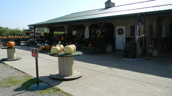 Baker Farm and U Pick is a popular fall destination for many in the heart of Niagara. (Photo by Terry Duffy)