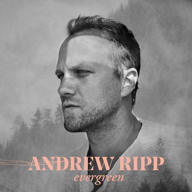Andrew Ripp cover art (Image courtesy of Merge PR)