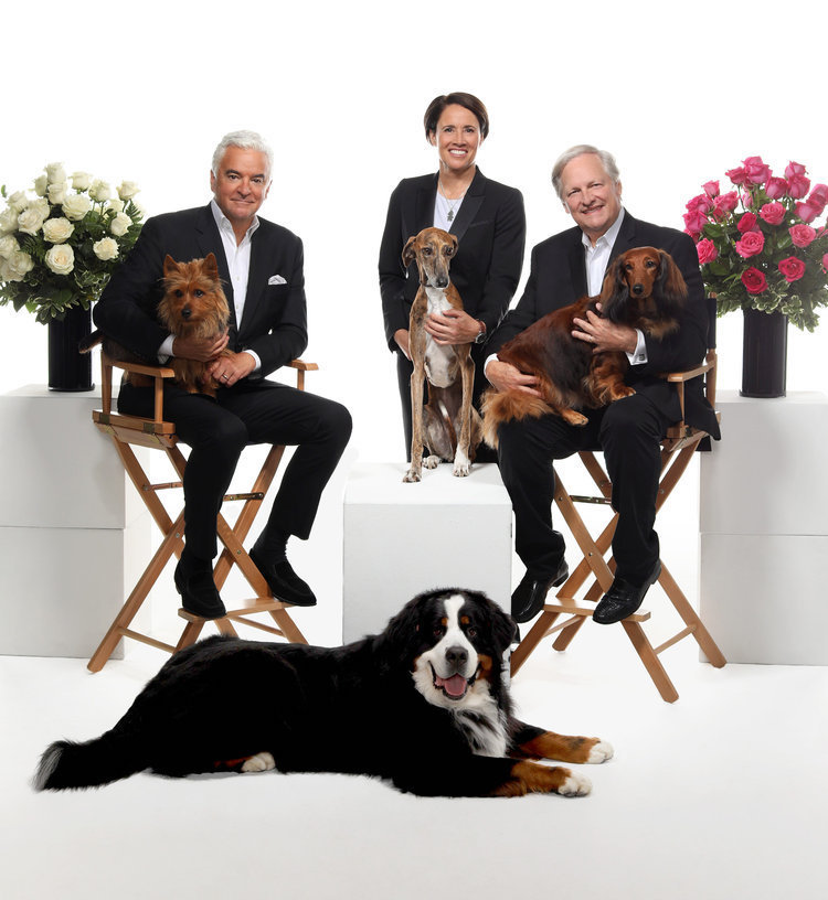 `Beverly Hills Dog Show Presented by Purina.` Pictured, from left: Australian Terrier, John O'Hurley, Azawakh, Mary Carillo, Bernese Mountain Dog, David Frei and Dachshund. (NBC photo by Simon Bruty)