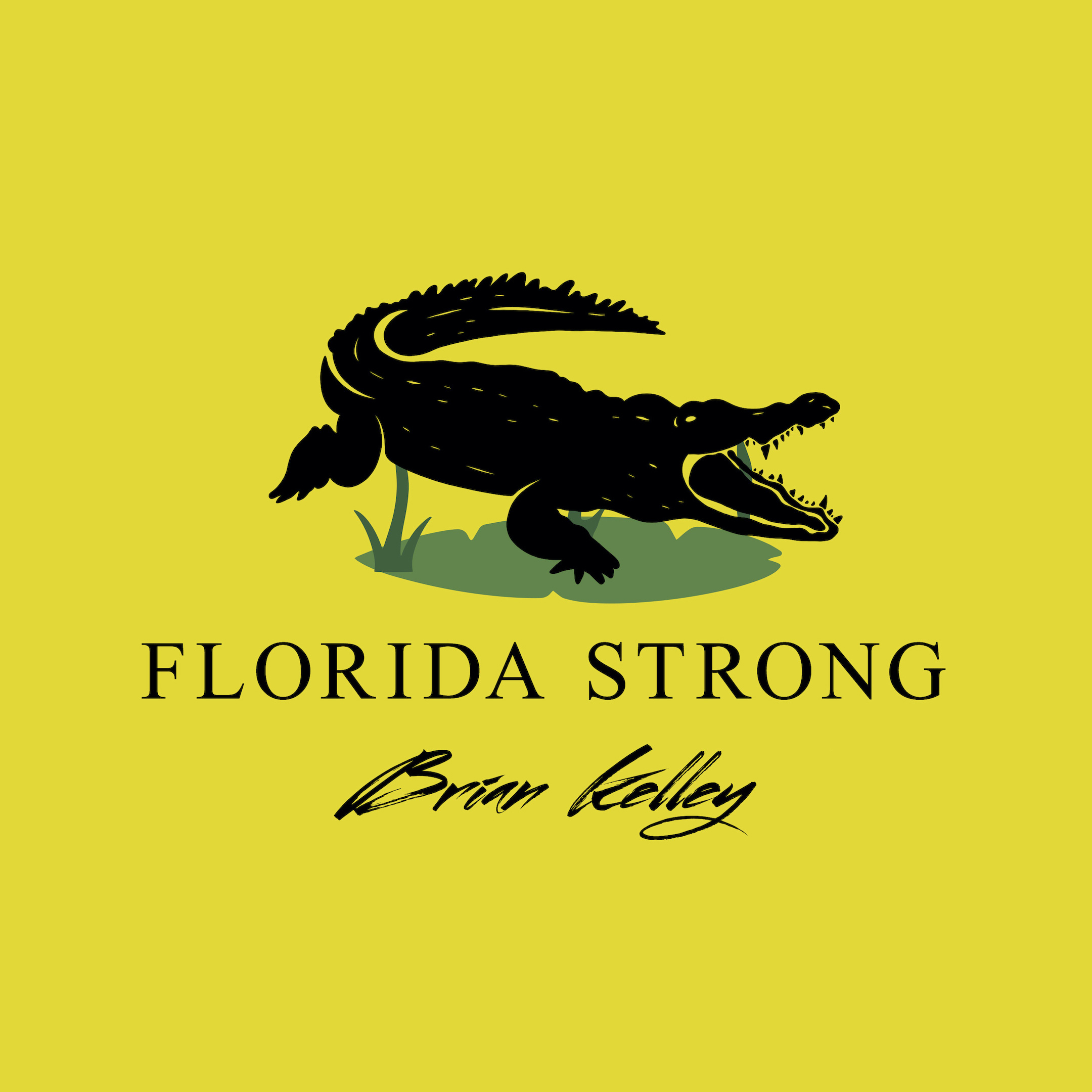 Brian Kelley, `Florida Strong` (Image courtesy of Big Machine Label Group)