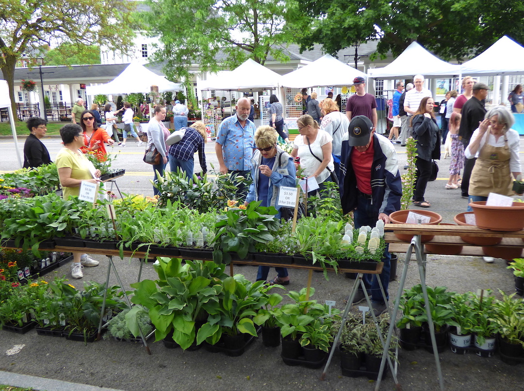 Village of Lewiston elected leaders and Garden Club members are hopeful GardenFest will re- turn in 2021. Pictured is a scene from the previ- ous festival, in June 2019.