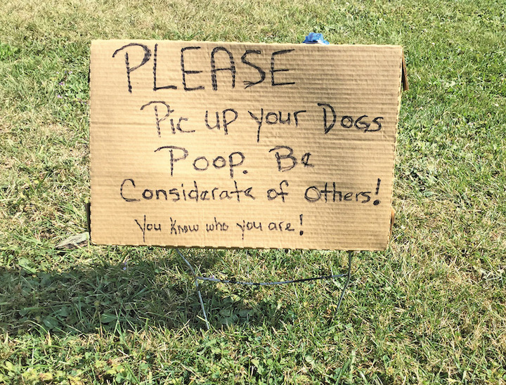 The Town of Porter is attempting to deal with a growing dog waste problem and inattentive owners at Porter on the Lake Park. (Submitted photos)