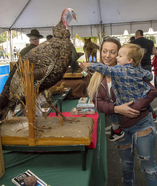 The Wildlife Festival will take place this weekend. (File photos)