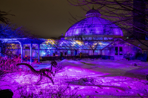 `Gardens After Dark: Enchanted Winter Escape` is on display at the Botanical Gardens on select dates this month and next. (Photos courtesy of the Buffalo and Erie County Botanical Gardens)