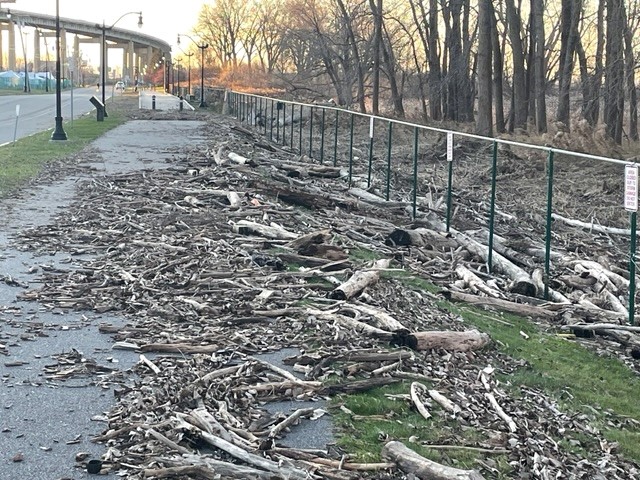 Shown is some of the storm damage at the Times Beach Nature Preserve. (Submitted photo)