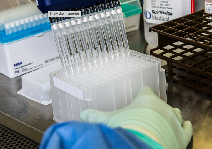This Centers for Disease Control and Prevention (CDC) scientist was using a multi-channel pipettor, as part of processing for the CDC 2019 Novel Coronavirus (2019-nCoV) Real-Time Reverse Transcription (RT)-PCR Diagnostic Panel. Multi-channel pipettors are used to dispense multiple volumes of liquids at a time. (Photo by James Gathany/CDC)