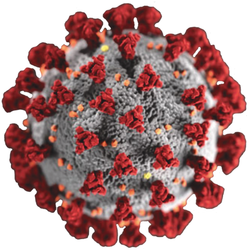 Coronavirus image courtesy of the Centers for Disease Control