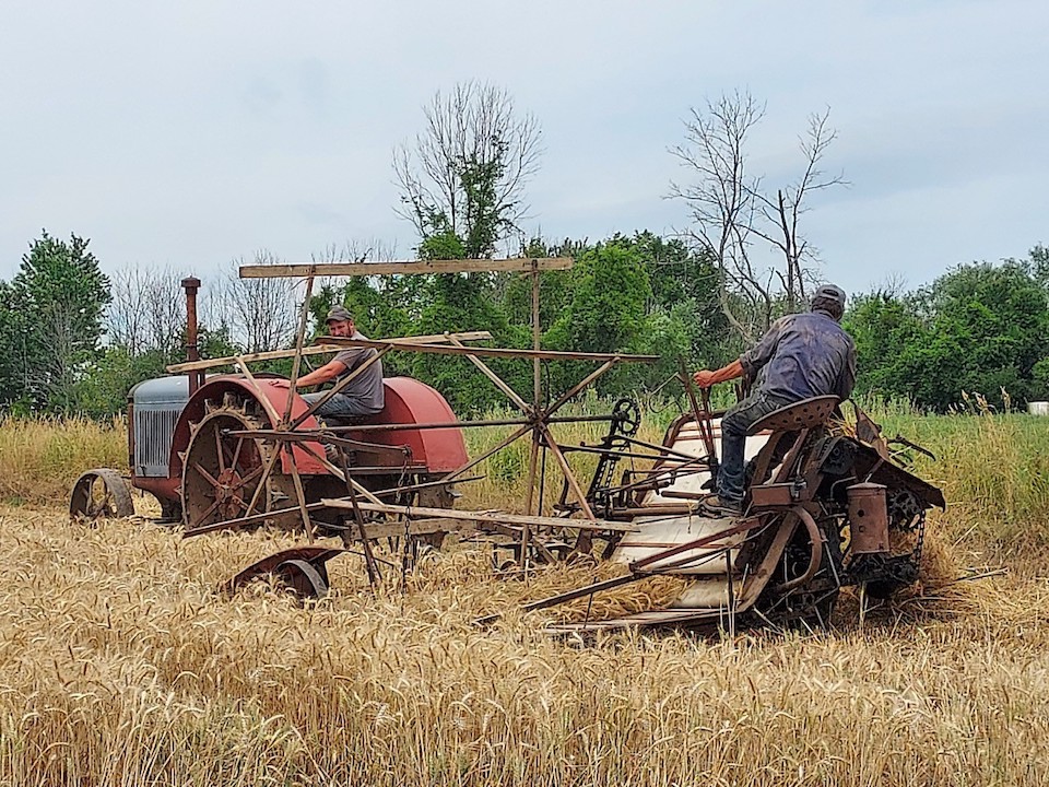 Vintage farm equipment (Photo courtesy of Karen Sherwood)