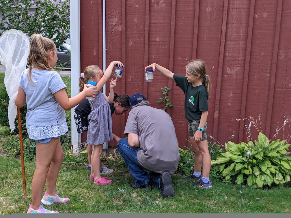 Children doing a bug-catching activity during summer 2022 children's programs. (Submitted)