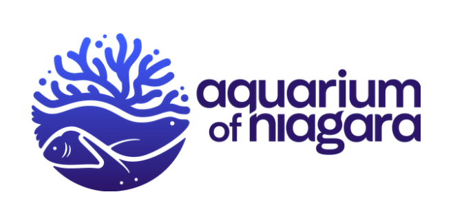 Aquarium of Niagara logo