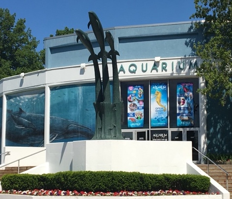 The Aquarium of Niagara (File photo) 
