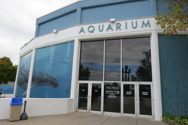 The Aquarium of Niagara ($25,000) was one of myriad local organizations receiving funds from the Ralph C. Wilson, Jr. Foundation. (File photo)