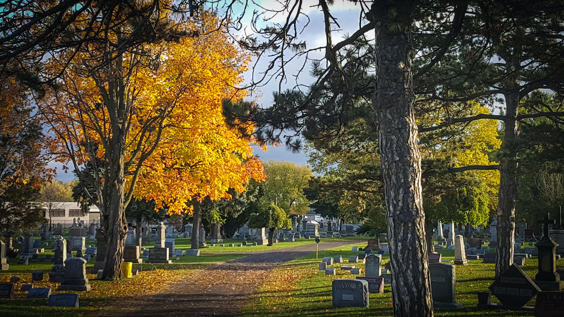 Image courtesy of Oakwood Cemetery/Insight International USA/Niagara Falls National Heritage Area
