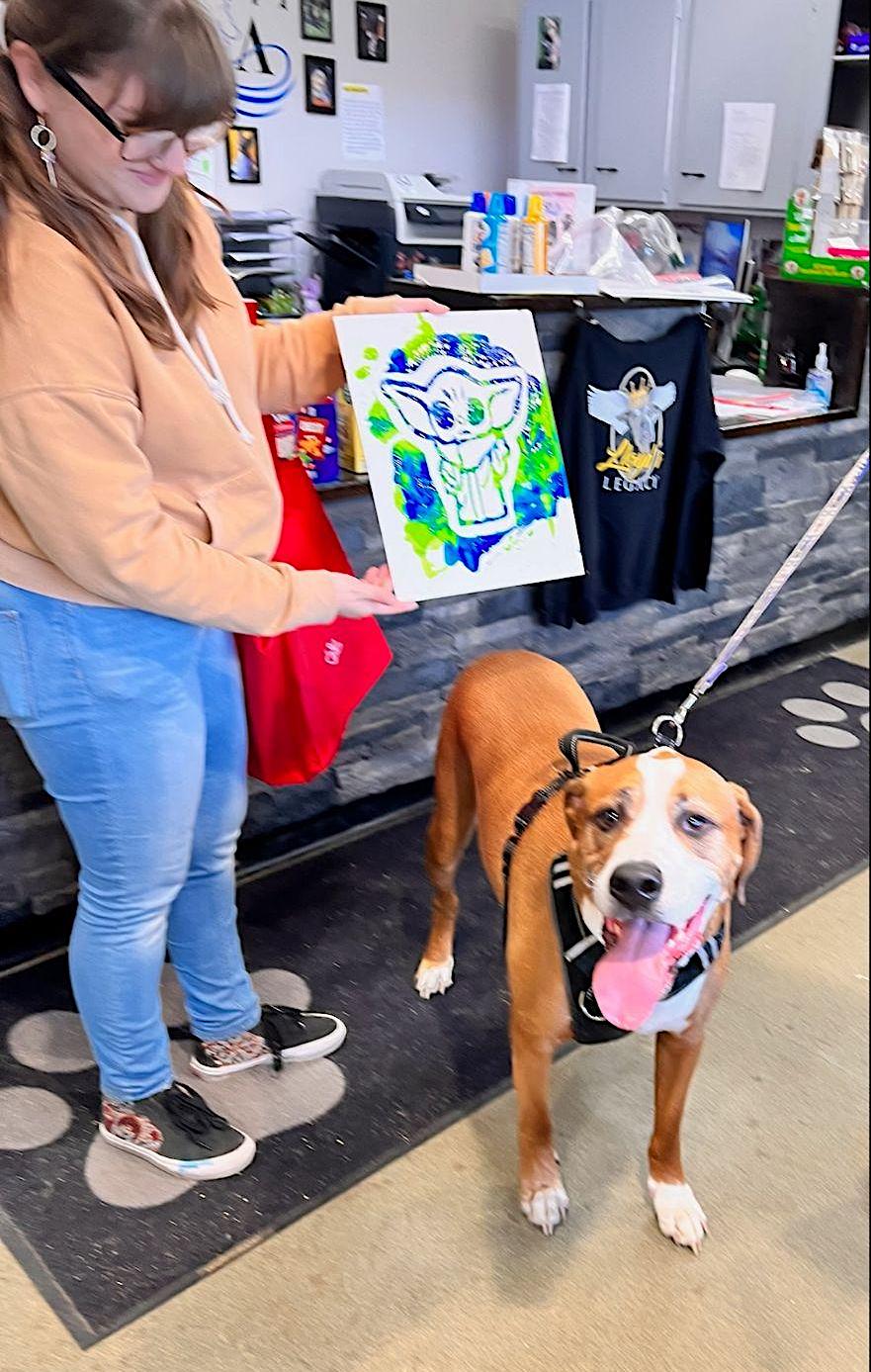 Goliath has shelter supporter Emilee showing off his Yoda portrait. (Submitted)
