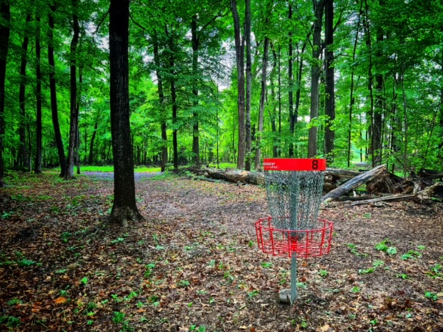Disc golf has been popular in Royalton Ravine Park (Submitted photo)