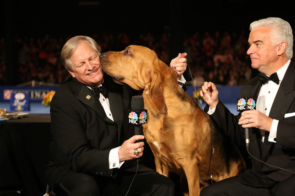 `The National Dog Show Presented by Purina` (2015) Pictured, from left, host David Frei, 2014 winner Nathan the bloodhound, and host John O'Hurley. (NBC photo by Bill McCay)