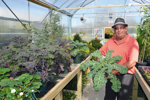 Bob Bracikowski (Greenhouse Bob) displays the healthy kale plants participants are growing for Thanksgiving. (Photo by Lauren Zaepfel)