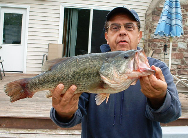 A 6-pound, 6-ounce largemouth caught in Wilson. (Terry Swann photo)