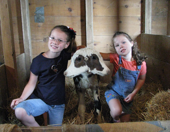The two-headed calf in the barn is always a hit with youngsters who visit the Sanborn-Lewiston Farm Museum at 2660 Saunders Settlement Road. The former local resident and the rest of the regular displays will be joined by numerous special events and activities on Saturday, Aug. 14, when the Sanborn Area Historical Society presents its annual Farm Festival at the museum. Events will run from 8 a.m. (pancake breakfast) to dark (fireworks). In between, there will be a pie-eating contest, tractor parade, pedal tractor race, watermelon eating contest, flea market, bake sale, artisan demonstrations, car cruise, produce vendors, sand castle demonstration, Civil War re-enactors and a concert by Elvis impersonator Terry Buchwald. (photo by Susan Mikula Campbell)